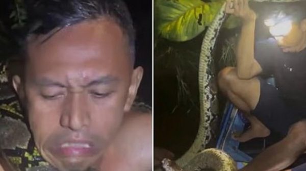 Hướng dẫn viên du lịch bị trăn dài 6 m siết cổ adt1762475390 trangquan 6460 4722 6610 anh cat 3 2 auto cropjpg