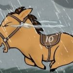 Hiện tượng chú ngựa Mã Tiểu Dã gây sốt mạng xã hội adt1763447937 8499 5807 9230 anh cat 3 2 auto cropjpg