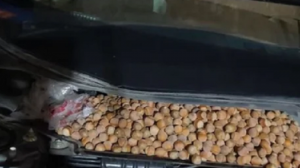 Nghe tiếng động lạ, người đàn ông cúi xuống gầm xe thấy cảnh tượng "nổi da gà" adt1763944475 nghe thay tieng dong la nguoi dan on anh cat 3 2 auto croppng