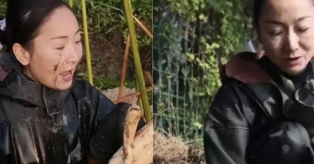 adt1764042240-nu-doanh-nhan-vo-no-hon-18-ty-dong-l-anh-cat-3-2-auto-croppng-1 Nữ doanh nhân vỡ nợ hơn 18 tỷ đồng, lặn lội đào củ sen làm lại từ đầu adt1764042240 nu doanh nhan vo no hon 18 ty dong l anh cat 3 2 auto croppng 1