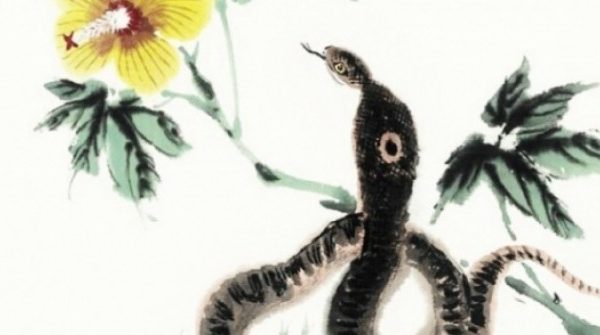 4 con giáp vừa giàu vừa may, có cuộc sống đáng ao ước sau tuổi 45 adt1764235005 3416 833 thumbnail auto crop 750x563 anh cat 3 2 auto cropjpg