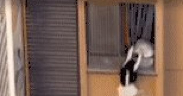 adt1765285888-vo-bat-ngo-tro-ve-chong-day-nhan-tin-anh-cat-3-2-auto-cropjpeg-1 Vợ bất ngờ trở về, chồng đẩy nhân tình ra ngoài cửa sổ tầng 10 để chạy trốn adt1765285888 vo bat ngo tro ve chong day nhan tin anh cat 3 2 auto cropjpeg 1