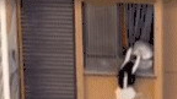 Vợ bất ngờ trở về, chồng đẩy nhân tình ra ngoài cửa sổ tầng 10 để chạy trốn 29 Vợ bất ngờ trở về, chồng đẩy nhân tình ra ngoài cửa sổ tầng 10 để chạy trốn adt1765285888 vo bat ngo tro ve chong day nhan tin anh cat 3 2 auto cropjpeg