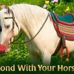 Horse World Ride game mô phỏng cho bạn trở thành người huấn luyện ngựa afkmobi horseworldride 1jpg