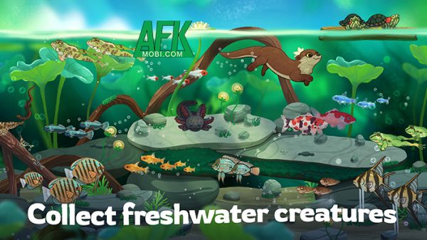 Thư giãn bằng cách quản lý ao cá trong trò chơi mô phỏng Pondlife – Relaxing Fish Game afkmobi pondlife 1jpg