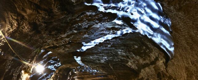 Một thứ 40.000 năm tuổi vừa bị đánh thức dậy- Ảnh 1.