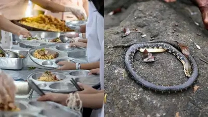 Rắn chết xuất hiện trong đồ ăn ở trường, hơn 100 học sinh Ấn Độ phải nhập viện- Ảnh 1. Rắn chết xuất hiện trong đồ ăn ở trường, hơn 100 học sinh Ấn Độ phải nhập viện- Ảnh 1.