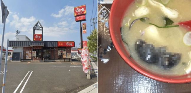 Ăn rau ở quầy buffet khách sạn, vị khách tái mặt khi phát hiện