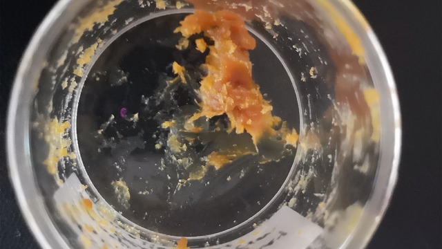 Bí ẩn 'chất nhờn dính' 2.500 năm tuổi trong đền thờ Hy Lạp cuối cùng đã có lời giải!- Ảnh 1.