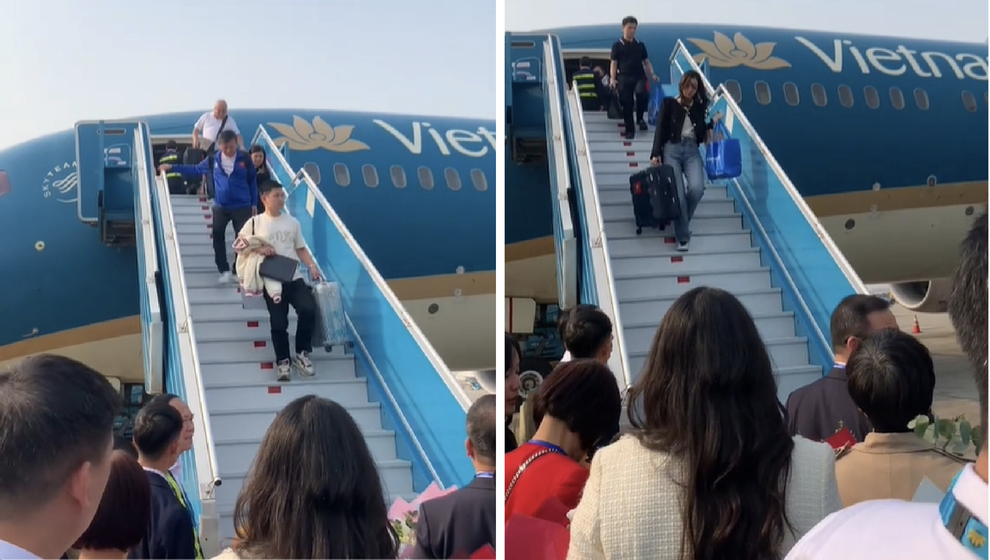 Đỗ Mỹ Linh xử lý