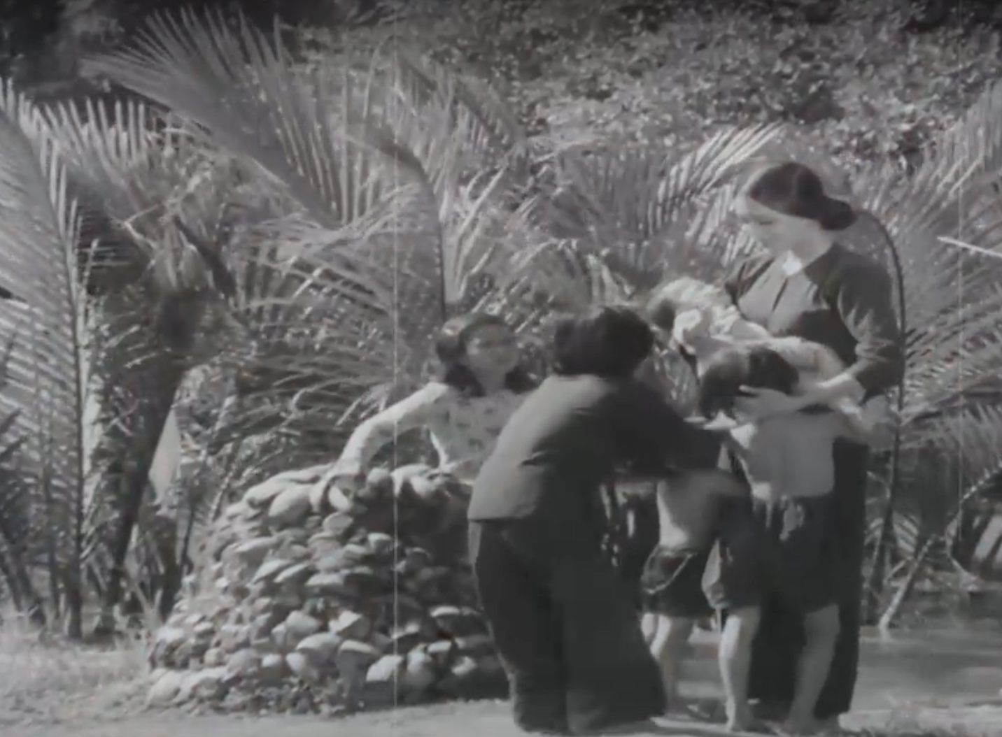 Bộ phim khóc cạn nước mắt khi xem lại những ngày này: Nghệ sĩ Vân Dung lúc 9 tuổi đã xuất sắc, một ngôi sao trở thành huyền thoại- Ảnh 1.