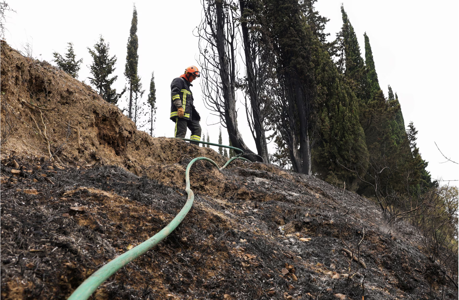 Cảnh tượng tựa