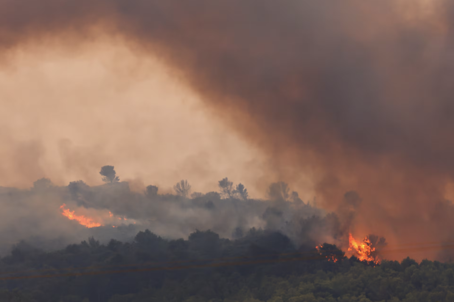 Cảnh tượng tựa