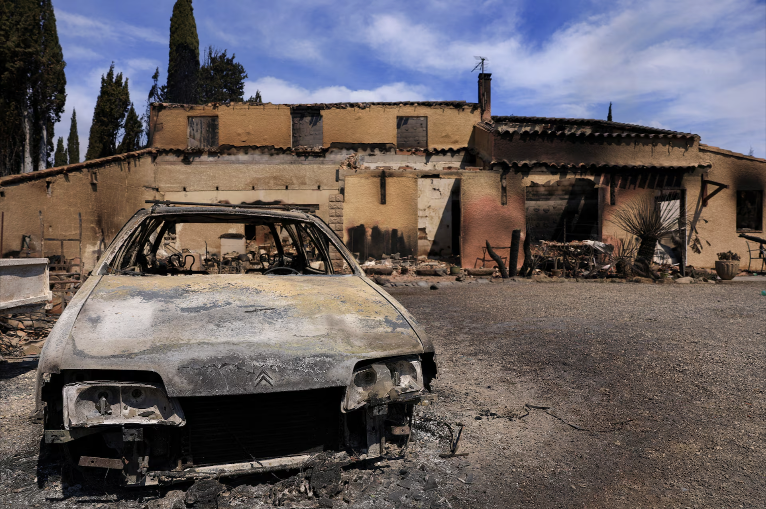 Cảnh tượng tựa