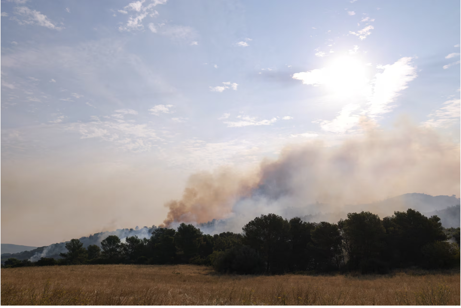 Cảnh tượng tựa