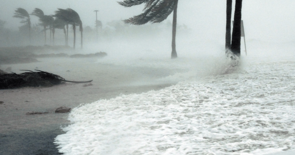 Bão Ragasa đổ bộ: Sân bay Hong Kong đóng cửa, Philippines sơ tán hàng ngàn người anh man hinh 2025 09 22 luc 142205 14222592 1758534300395 1758534301320485892632 0 0 450 720 crop 17585343226511012527180png