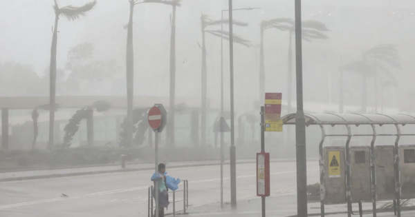 Hình ảnh khủng khiếp khi siêu bão Ragasa càn quét Đài Loan, Hong Kong 26 Hình ảnh khủng khiếp khi siêu bão Ragasa càn quét Đài Loan, Hong Kong anh man hinh 2025 09 24 luc 090946 09144713 1758704107958 1758704108484789549492 22 0 472 720 crop 1758704144340263409175png