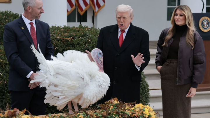 Ông Trump ân xá cho gà tây- Ảnh 1. Ông Trump ân xá cho gà tây- Ảnh 1.