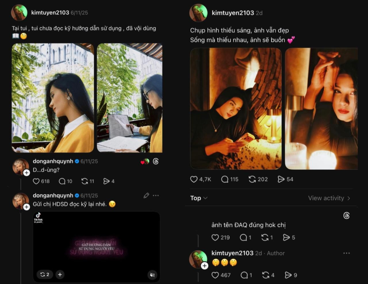 Đồng Ánh Quỳnh: Đồng Ánh Quỳnh: