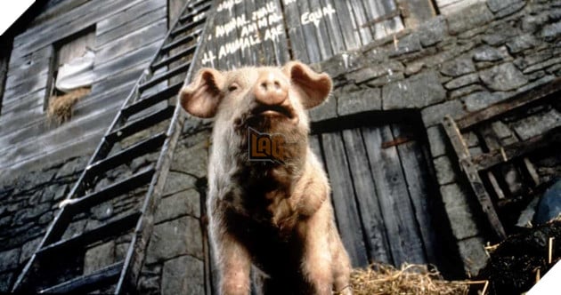 Dan Dien Vien Long Tieng Trong Phien Ban Hoat Hinh Animal Farm Cua Andy Serkis Duoc Cong Bo Dàn Diễn Viên Lồng Tiếng Trong Phiên Bản Hoạt Hình Animal Farm Của Andy Serkis Được Công Bố