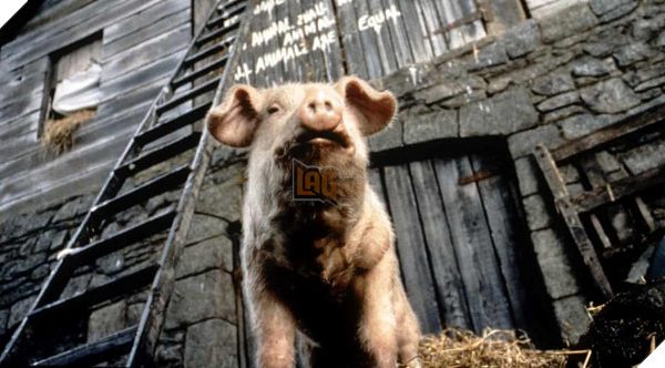 Dàn Diễn Viên Lồng Tiếng Trong Phiên Bản Hoạt Hình Animal Farm Của Andy Serkis Được Công Bố 27 Dàn Diễn Viên Lồng Tiếng Trong Phiên Bản Hoạt Hình Animal Farm Của Andy Serkis Được Công Bố animal farm 3 voof