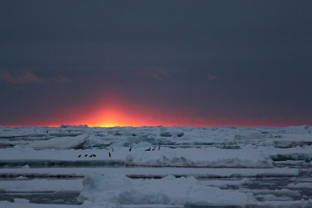 Vì sao các bác sĩ cần cắt bỏ 1 bộ phận cơ thể này trước khi đến Nam Cực?- Ảnh 1. Vì sao các bác sĩ cần cắt bỏ 1 bộ phận cơ thể này trước khi đến Nam Cực?- Ảnh 1.