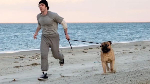 Cái Nhìn Đầu Tiên Về Sylvester Stallone Trẻ Trong Phim Tiểu Sử Rocky Của Amazon anthony ippolito3jpg oogwjpg