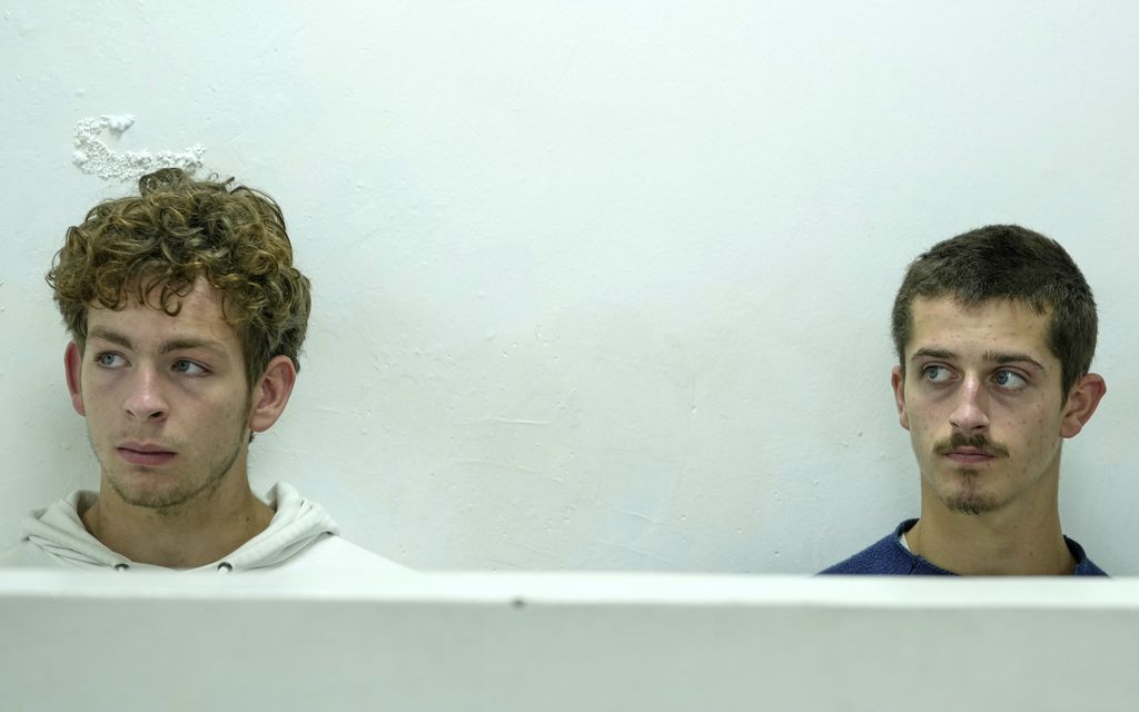 Hai thiếu niên bị bắt giữ vì vận chuyển lậu 5.000 con kiến- Ảnh 1.