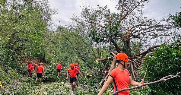 Philippines thiệt hại lớn do các cơn bão liên tiếp ap25270101346020 19747927268304118239945 1759136641011 1759136641779965279725 40 0 680 1024 crop 17591368386641236989799jpg