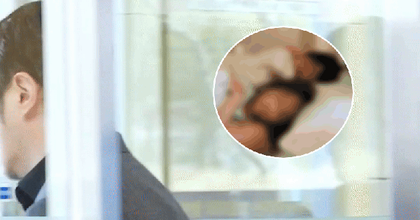 Nam ca sĩ giấu kín chuyện có con suốt 13 năm, nay công khai cả vợ lẫn con đều xinh như minh tinh! 28 Nam ca sĩ giấu kín chuyện có con suốt 13 năm, nay công khai cả vợ lẫn con đều xinh như minh tinh! av 1 17630204939221345946980 18 0 437 800 crop 1763020690717706746783gifpng