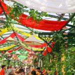 Hơn 100 hoạt động sẽ diễn ra trong khuôn khổ Lễ hội Văn hóa Việt Nam tại thủ đô nước Nga av 1753668095 424 width740height495 auto cropjpg