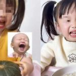 Khi “cỗ máy kiếm tiền” 3 tuổi bật khóc trên mạng xã hội ava chuan 15 17458264226621937819711 1745830601465 1745830601520695807130jpg