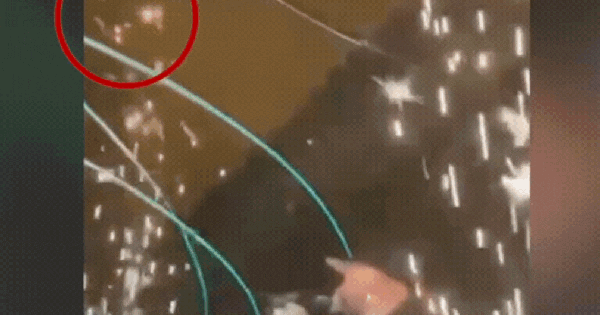 1 đốm lửa cướp đi sinh mạng 59 người: Những lời kể xé lòng của nhân chứng vụ cháy hộp đêm giữa concert 500 người ava chuan 2 17421969308702118254002gifpng