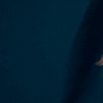 Đặt camera xuống biển sâu, phát hiện điều đáng sợ đến vô thực ava chuan 2 17426335653021554795547gifpng