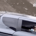 Hai mẹ con mắc kẹt trong xe ô tô đang chìm xuống mương: Khoảnh khắc đứng tim trong tiếng kêu cứu tuyệt vọng ava chuan 21 1752224011060110634315gifpng