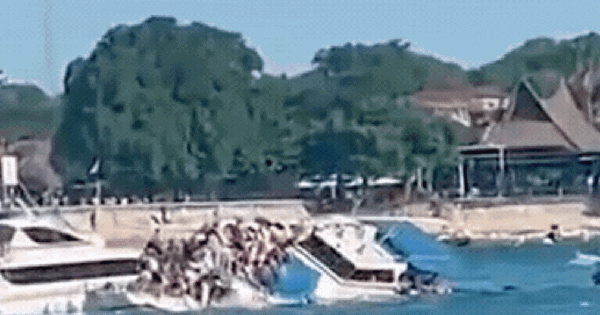 Video sốc: Khoảnh khắc tàu du lịch chở 89 khách lật giữa biển ở Bali, mọi người đập vỡ cửa sổ để thoát thân ava chuan 34 17490981315001605163093gifpng