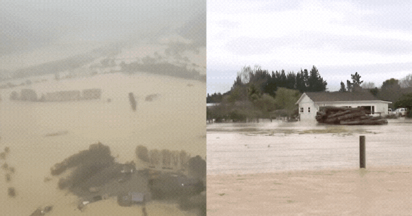 New Zealand biến thành sông vì ngập lụt: Khung cảnh sốc khi "khắp nơi toàn là nước" 28 New Zealand biến thành sông vì ngập lụt: Khung cảnh sốc khi "khắp nơi toàn là nước" ava chuan 45 17512749333011727316869 17512779131031295770619gifpng