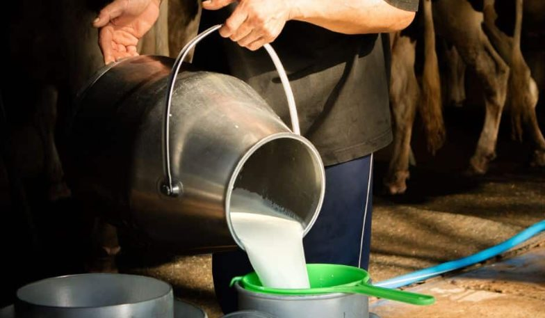 Đột kích vào nhà dân, cảnh sát triệt phá đường dây sữa giả chỉ hoạt động vào đêm và sáng sớm, tiêu hủy 400 lít sữa pha chế từ hóa chất- Ảnh 1.