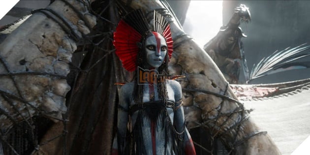 Hình ảnh về phim