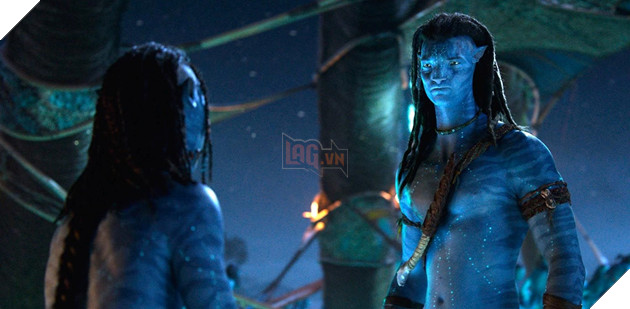 Hình ảnh về phim