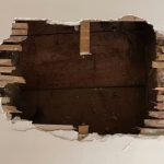 Thấy tiếng động lạ cặp đôi "tá hỏa" phát hiện thứ mắc kẹt trong tường nhà avatar1735708765548 1735708765789526252655jpg