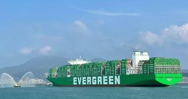 Một tập đoàn thưởng Tết "khủng" 23 tháng lương cho nhân viên avatar1735895727973 17358957307282072651662jpg