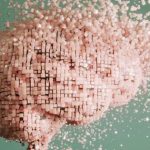 Liệu chúng ta có bao giờ lấy lại ký ức từ não của người chết không? avatar1735917667265 17359176675671887142044 0 74 315 578 crop 173591768543857854453jpg