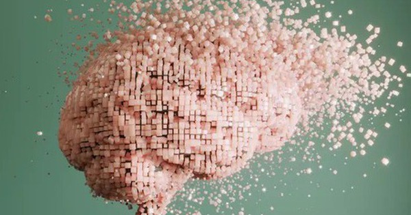 Liệu chúng ta có bao giờ lấy lại ký ức từ não của người chết không? avatar1735917667265 17359176675671887142044 0 74 315 578 crop 173591768543857854453jpg