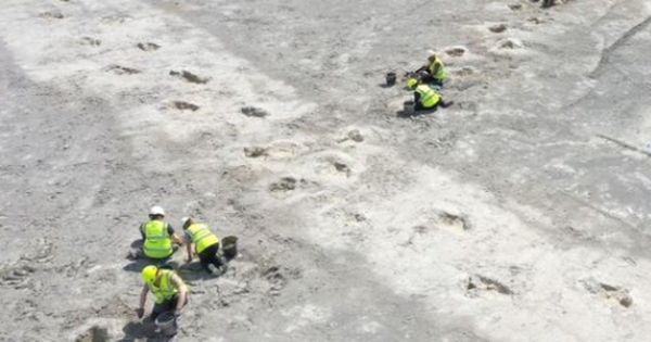 "Thế giới đã mất" hiện ra giữa mỏ đá, gây sốc cho khoa học avatar1735969332879 1735969333170862506719 0 33 315 537 crop 17359693577981448258835jpg