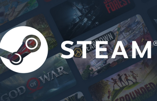 Sáng nay, game thủ Việt thấy Steam... lạ lắm avatar1736050049004 1736050049508677338247png