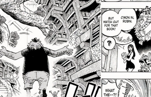 One Piece giới thiệu trái ác quỷ mới nhất avatar1736052125488 17360521259791224033258png