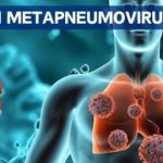 Virus HMPV giống Covid-19 lây kéo dài ở Trung Quốc khi chưa có thuốc điều trị avatar1736079827392 1736079828015733860891 0 96 274 535 crop 17360798636281110513884jpg