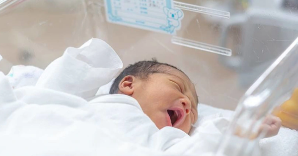 Nguy cơ Nhật Bản chỉ còn 1 trẻ nhỏ sau 695 năm avatar1736296291143 1736296291375333323665 43 172 574 1022 crop 1736296460829346452266png