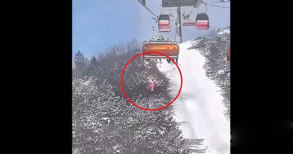 Đang ngồi cáp treo với mẹ, bé gái bất ngờ rơi xuống đất avatar1736411373442 17364113759412007918529jpg